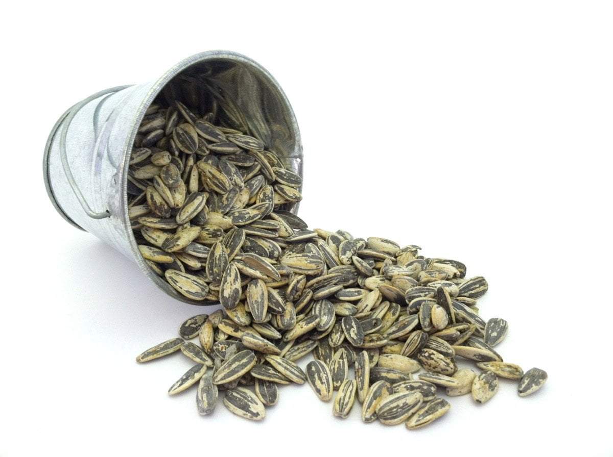 Premium Roast Sunflower Seeds - Jamaican Jerk - Image 3